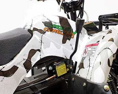 Квадроцикл GreenCamel Атакама T220 (48V 1000W R8 Дифференциал) пониженная