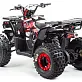 Квадроцикл PROMAX WILD 175