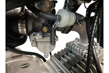 Питбайк PITONMOTO PX6 FEST 125EM 19/16 на механике